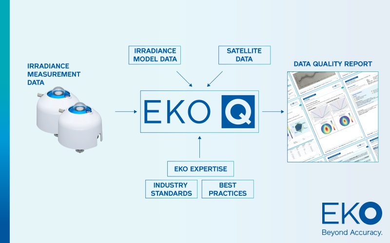 Data Quality Report